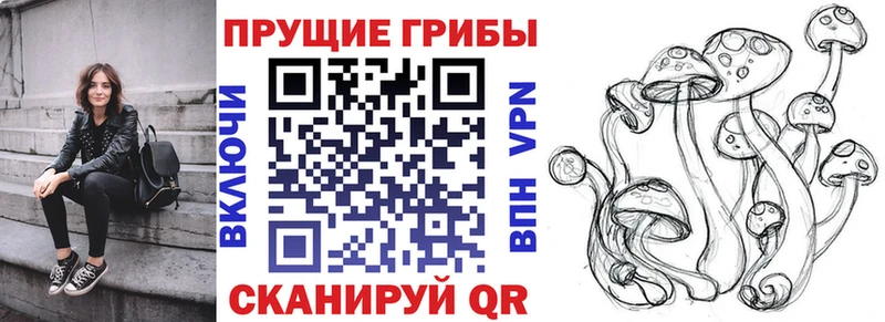 Псилоцибиновые грибы Magic Shrooms  купить   Нефтегорск 